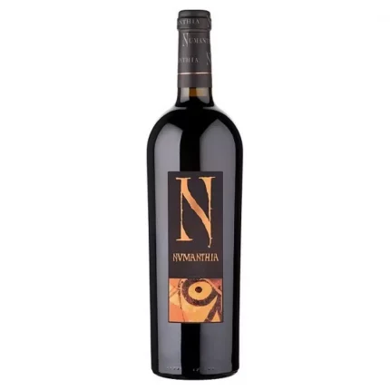 Bodega Numanthia 2019